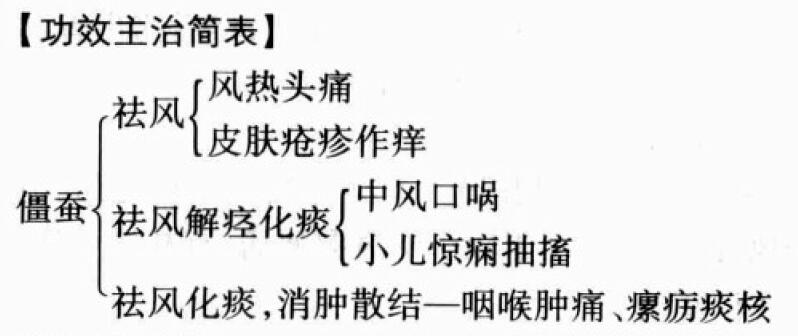 僵蚕的功效与作用