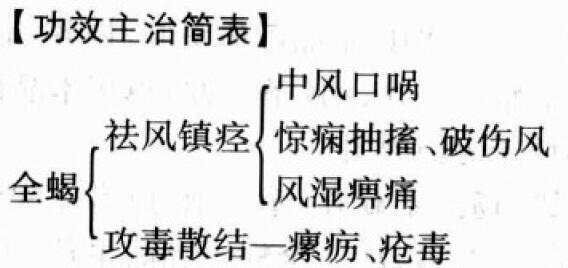 全蝎的功效与作用