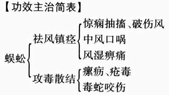 蜈蚣的功效与作用