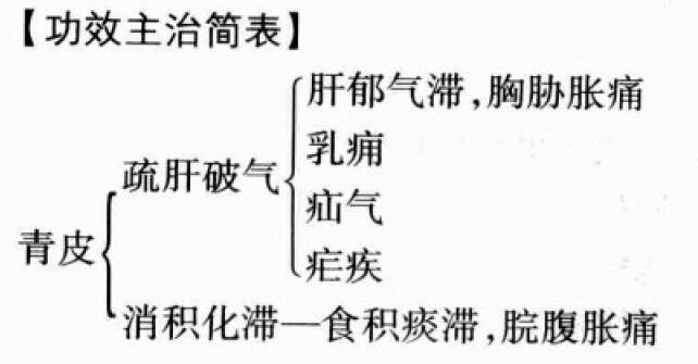 青皮的功效与作用