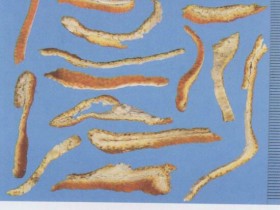 橘皮的功效与作用及禁忌,中药陈皮图片