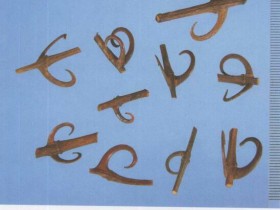 钩藤的功效与作用,中药钩藤图片