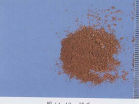代赭石的功效与作用及禁忌,中药代赭石图片