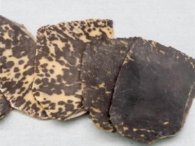 玳瑁的功效与作用,中药玳瑁图片