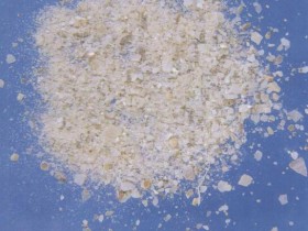 石决明的功效与作用及禁忌,中药石决明图片