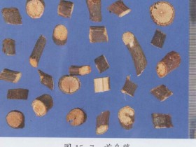 夜交藤的功效与作用,中药夜交藤图片