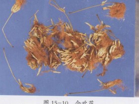 合欢皮的功效与作用,中药合欢花图片