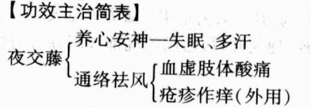 夜交藤的功效与作用