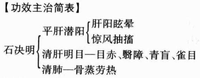 石决明的功效与作用