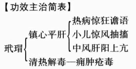 玳瑁的功效与作用