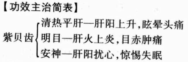 紫贝齿的功效与作用