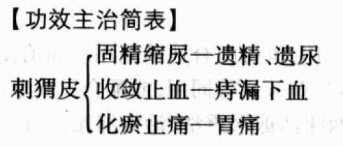 刺猬皮的功效与作用