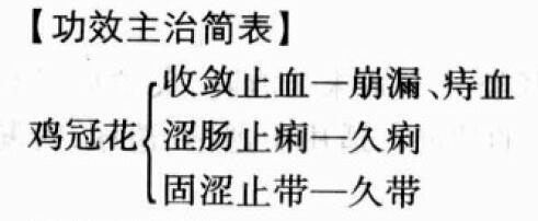 鸡冠花的功效与作用