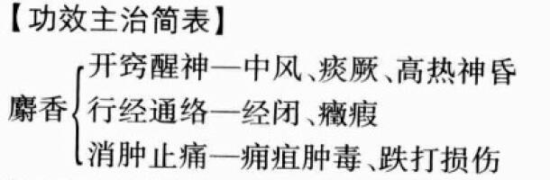 麝香的功效与作用