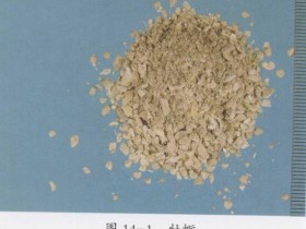 牡蛎的功效与作用及禁忌,中药生牡蛎图片