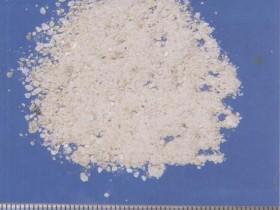 珍珠的功效与作用及禁忌,中药珍珠图片