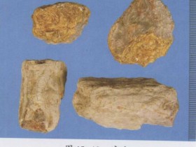 琥珀的功效与作用及禁忌,中药琥珀图片