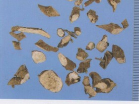 石菖蒲的功效与作用及禁忌,中药石菖蒲图片