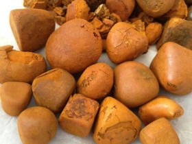 牛黄的功效与作用及禁忌,中药牛黄图片