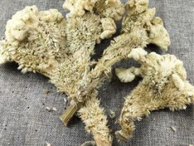 鸡冠花的功效与作用,中药鸡冠花图片