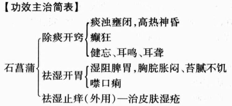 石菖蒲的功效与作用