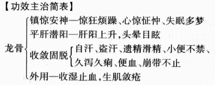 龙骨的功效与作用