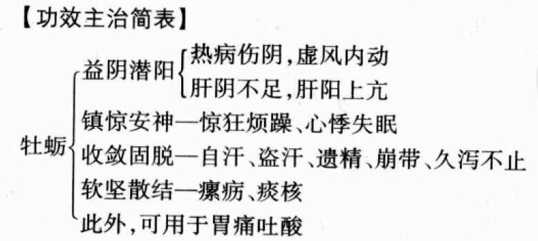 牡蛎的功效与作用