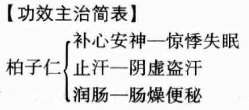 柏子仁的功效与作用