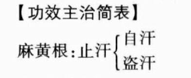 麻黄根的功效与作用