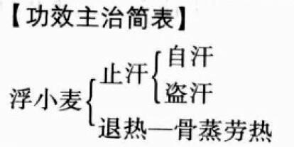 浮小麦的功效与作用