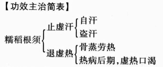 糯稻根须的功效与作用