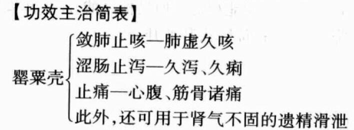 罂粟壳的功效与作用