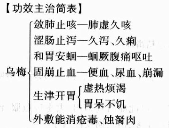 乌梅的功效与作用