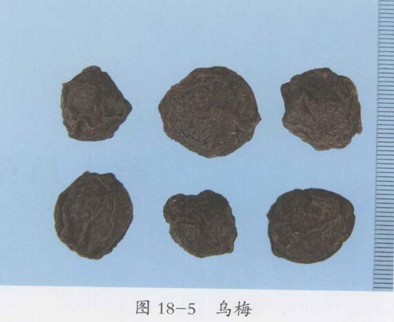 乌梅