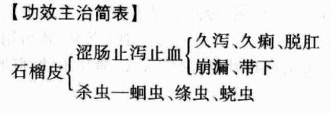 石榴皮的功效与作用