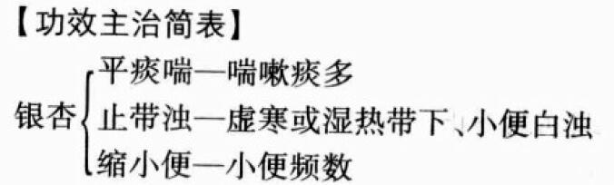 银杏（白果仁）的功效与作用