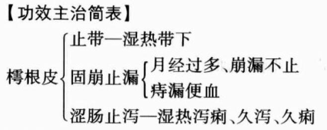 樗根白皮的功效与作用