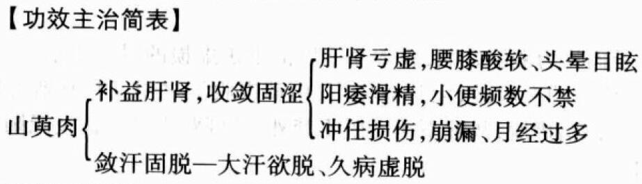 山萸肉的功效与作用