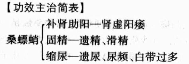 桑螵蛸的功效与作用