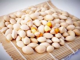 白果的功效与作用及禁忌,中药白果图片