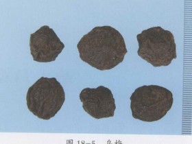 乌梅的功效与作用及禁忌,中药乌梅图片