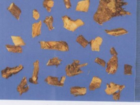 麻黄根的功效与作用及禁忌,中药麻黄根图片