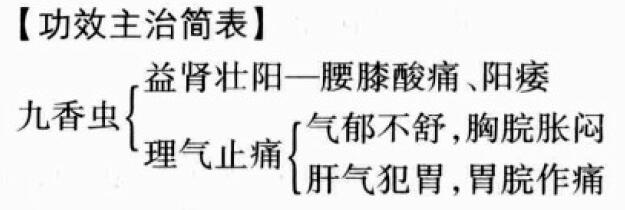 九香虫的功效与作用