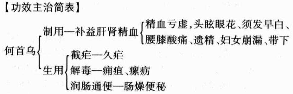 何首乌的功效与作用