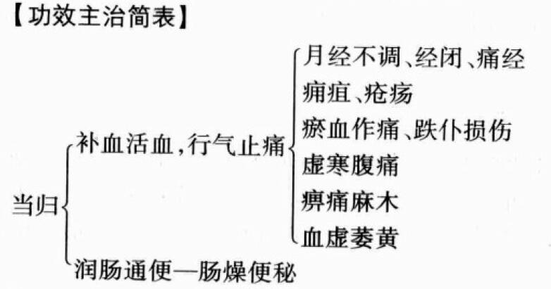 当归的功效和作用