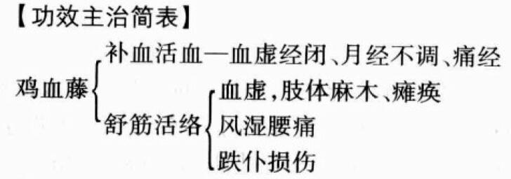 鸡血藤的功效与作用