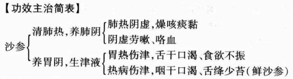 沙参的功效与作用