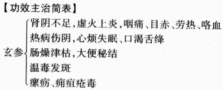 玄参的功效与作用