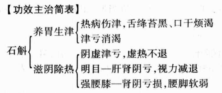 石斛的功效与作用