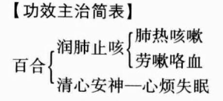 百合的功效与作用